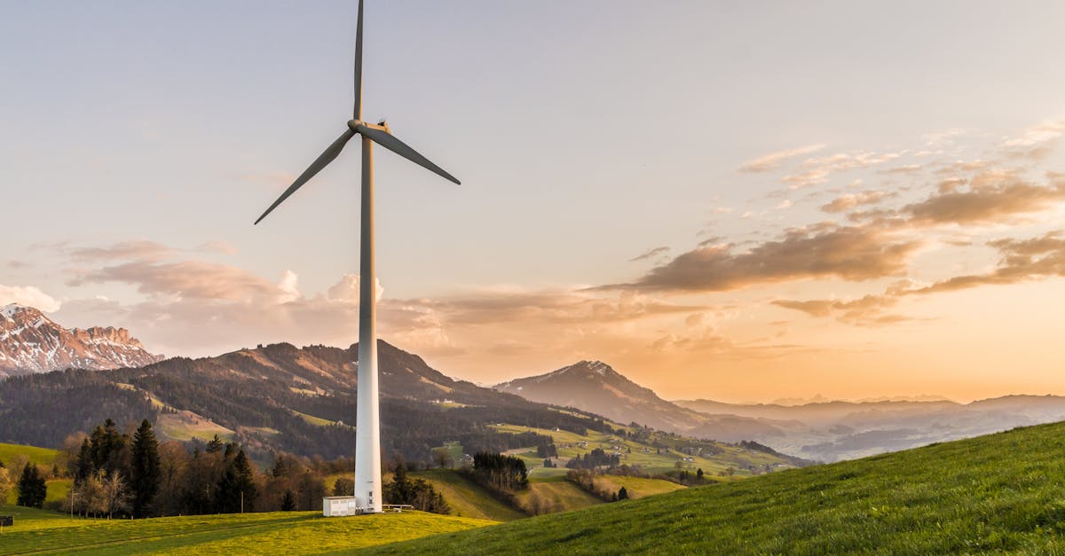 découvrez le concept de durabilité et son importance pour préserver notre planète. apprenez comment adopter des pratiques écoresponsables dans votre quotidien et contribuer à un avenir plus durable.