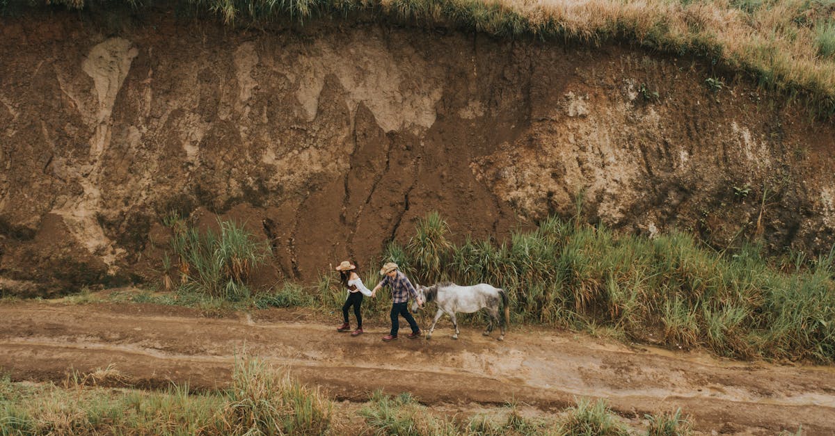 découvrez comment les partenariats locaux peuvent transformer votre entreprise. explorez des collaborations authentiques qui renforcent la communauté, boostent la visibilité et favorisent un développement durable. unissez vos forces avec d'autres acteurs locaux pour créer de véritables synergies.
