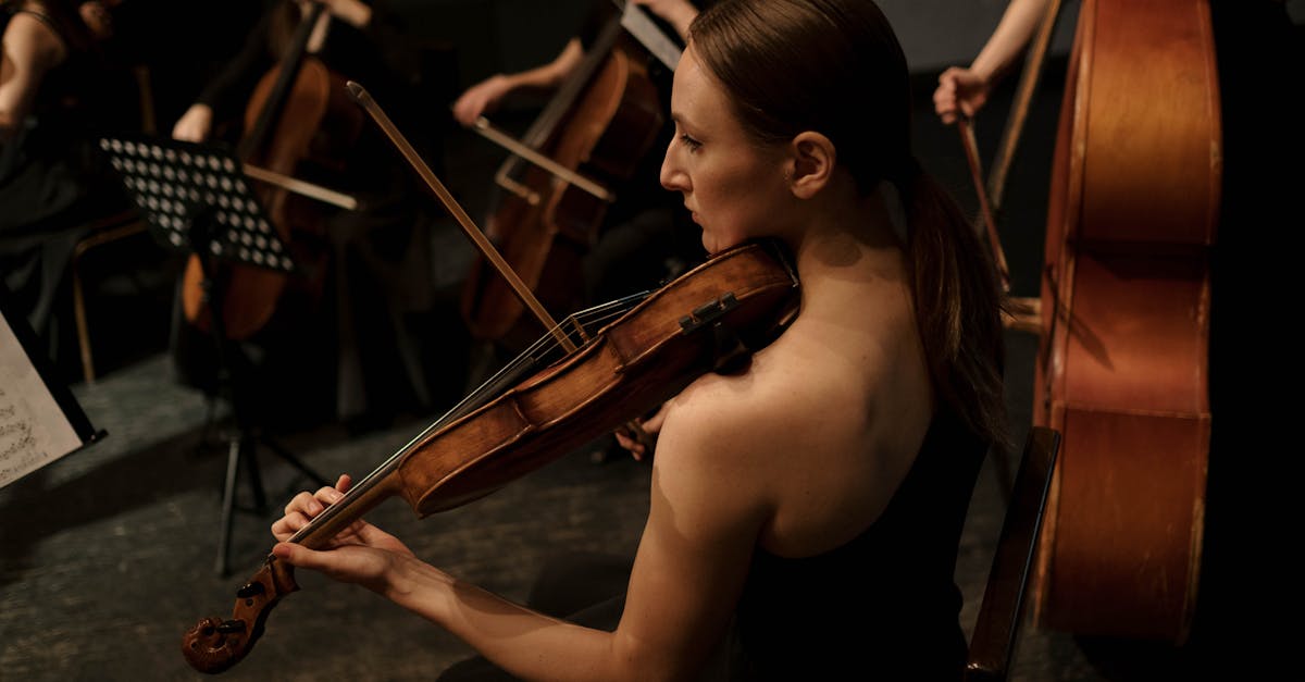 découvrez l'importance de la culture professionnelle dans le développement des entreprises et le bien-être des employés. explorez comment des valeurs partagées, une communication efficace et un environnement de travail positif peuvent transformer votre organisation.