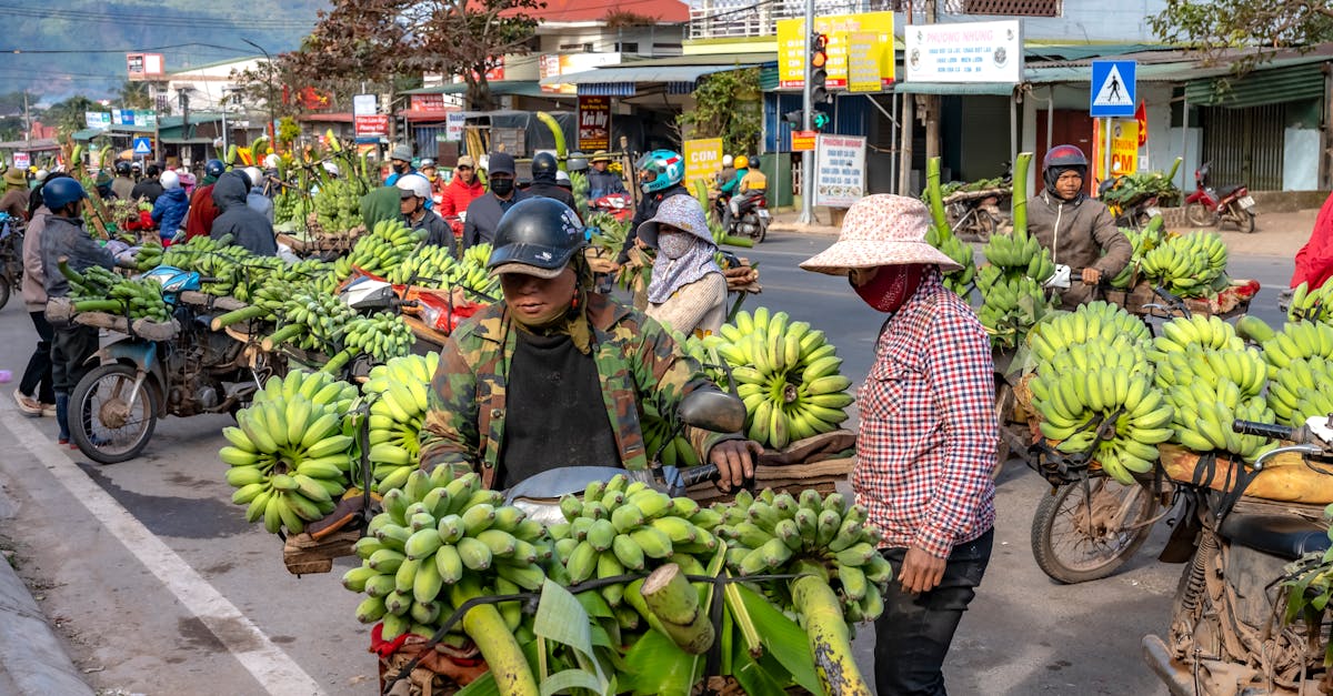 découvrez comment l'entrepreneuriat responsable transforme les entreprises en acteurs du changement social et environnemental, tout en favorisant une croissance durable et éthique.
