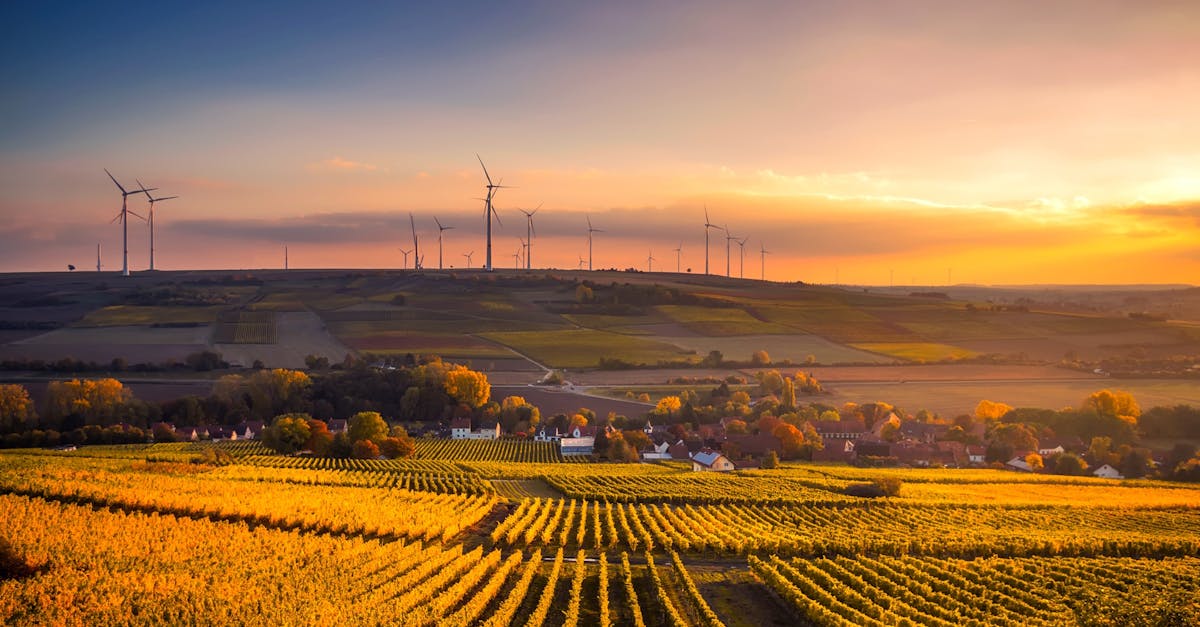 découvrez les enjeux de la durabilité et comment adopter des pratiques durables pour préserver notre planète. explorez des solutions écologiques et des initiatives qui favorisent un avenir plus respectueux de l'environnement.