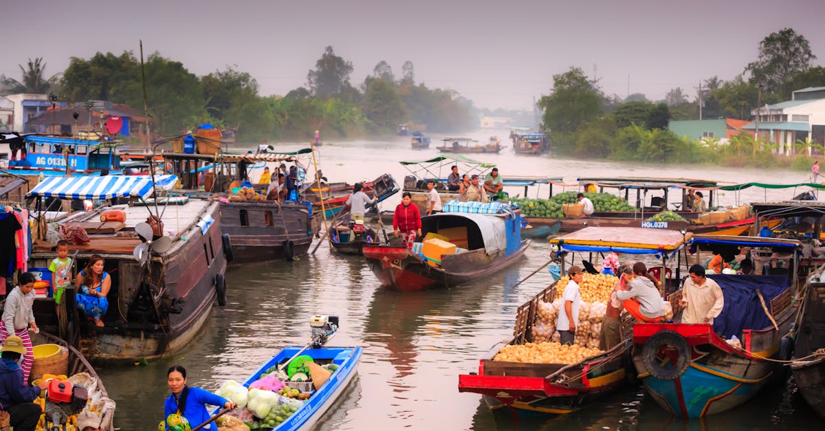 Les échanges culturels : un pont entre les nations