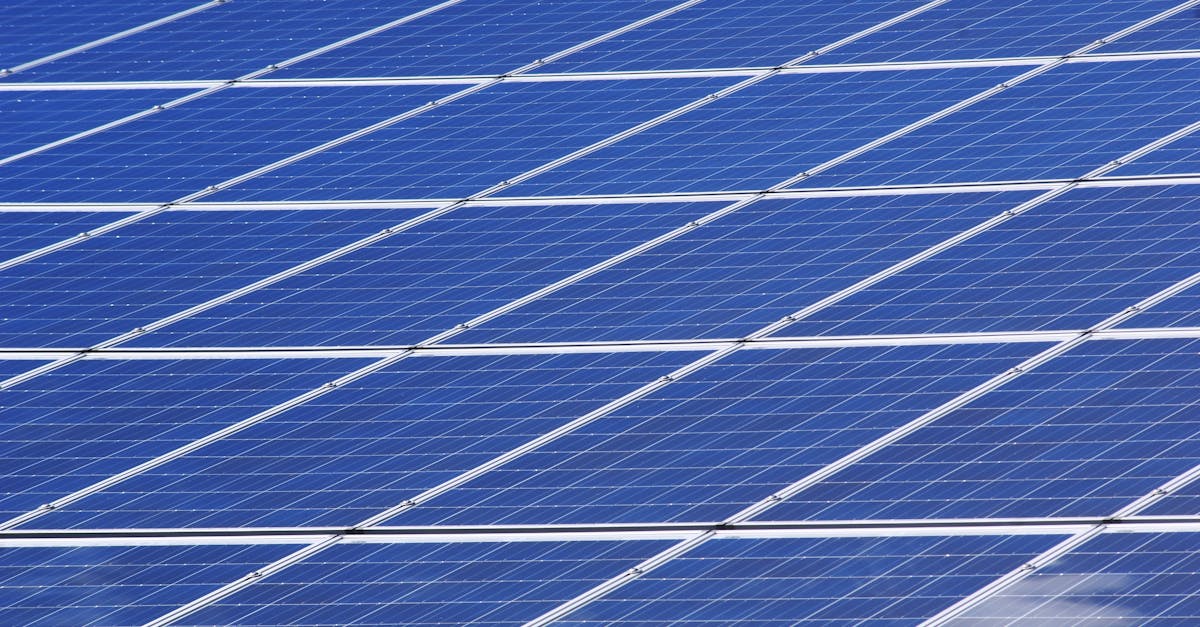 L’impact des communautés sur le développement durable