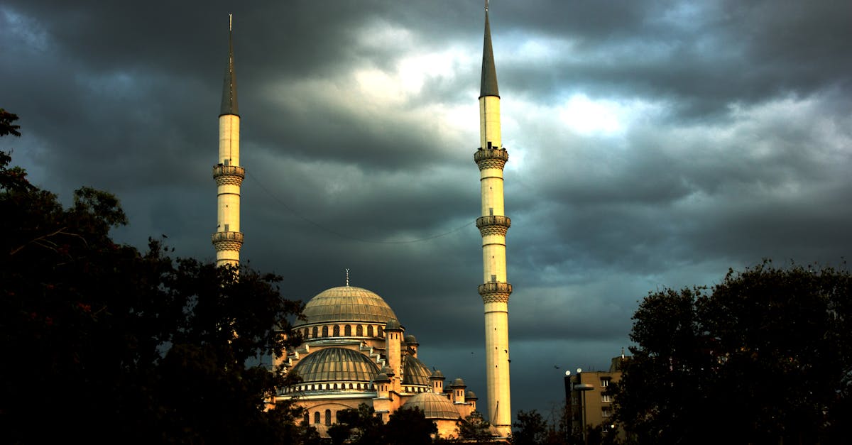 Qu’est-ce que la culture entrepreneuriale et pourquoi est-elle essentielle pour les startups ?