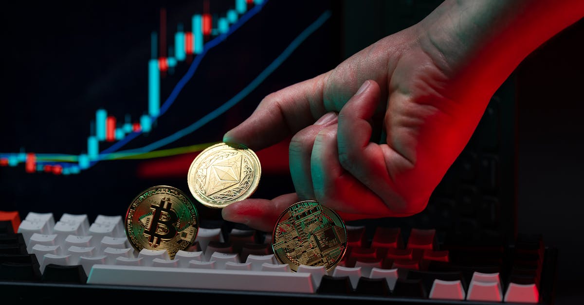 Guide complet des plateformes d’échange : fonctionnement et meilleures options