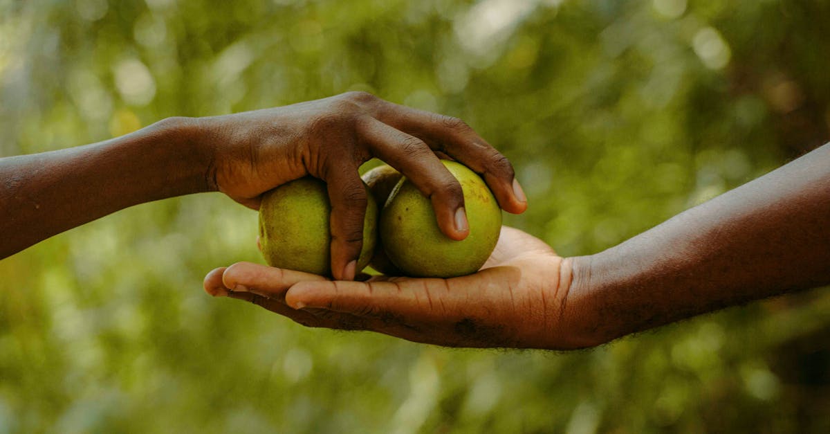 Les avantages des plateformes de partage dans l’économie collaborative