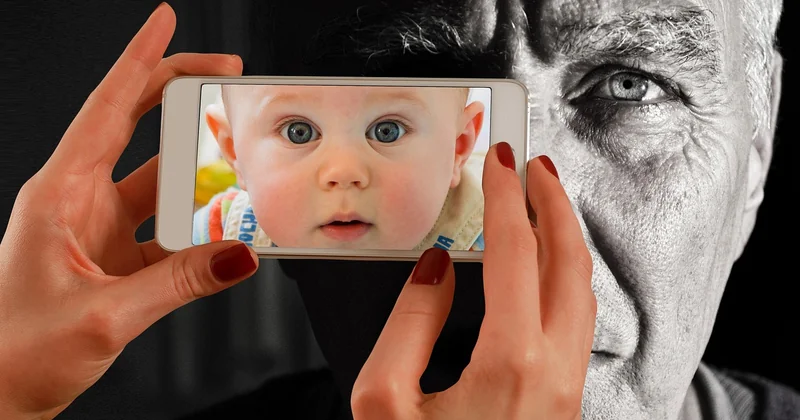 Le comparatif honnête : web, application, agence