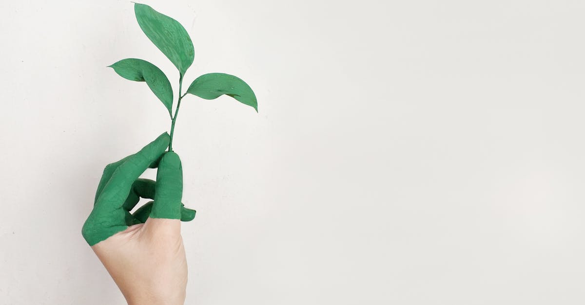 Vision d’avenir : imaginer le futur de notre société