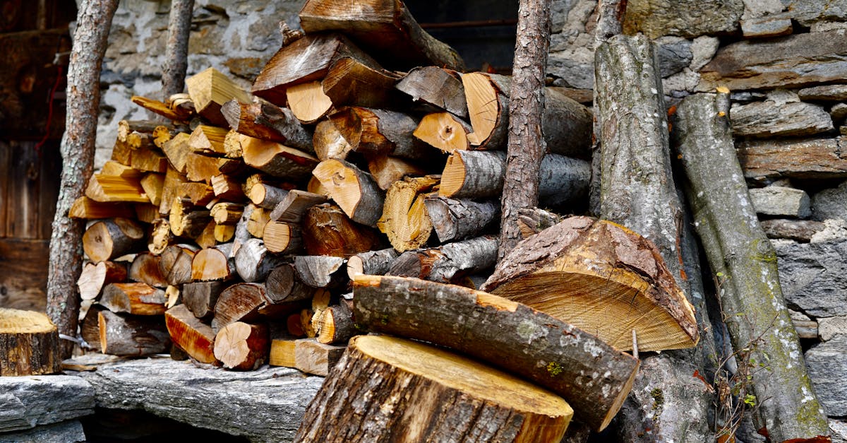 Le partage de ressources : enjeux et avantages pour la collaboration